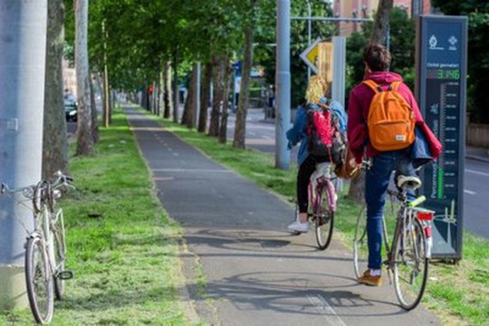 Passa col verde! il nuovo questionario per la mobilità post-Lockdown